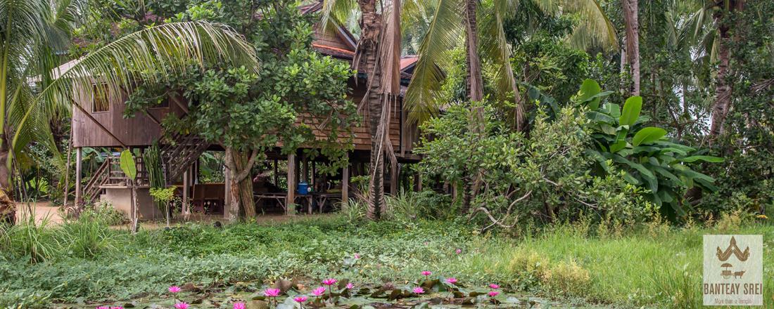 Homestays - Banteay Srei District